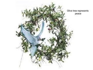 Olive tree represents peace