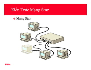 Ki n Trúc M ng Star
M ng Star
ATHENA
 