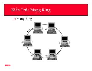 Ki n Trúc M ng Ring
M ng Ring
ATHENA
 