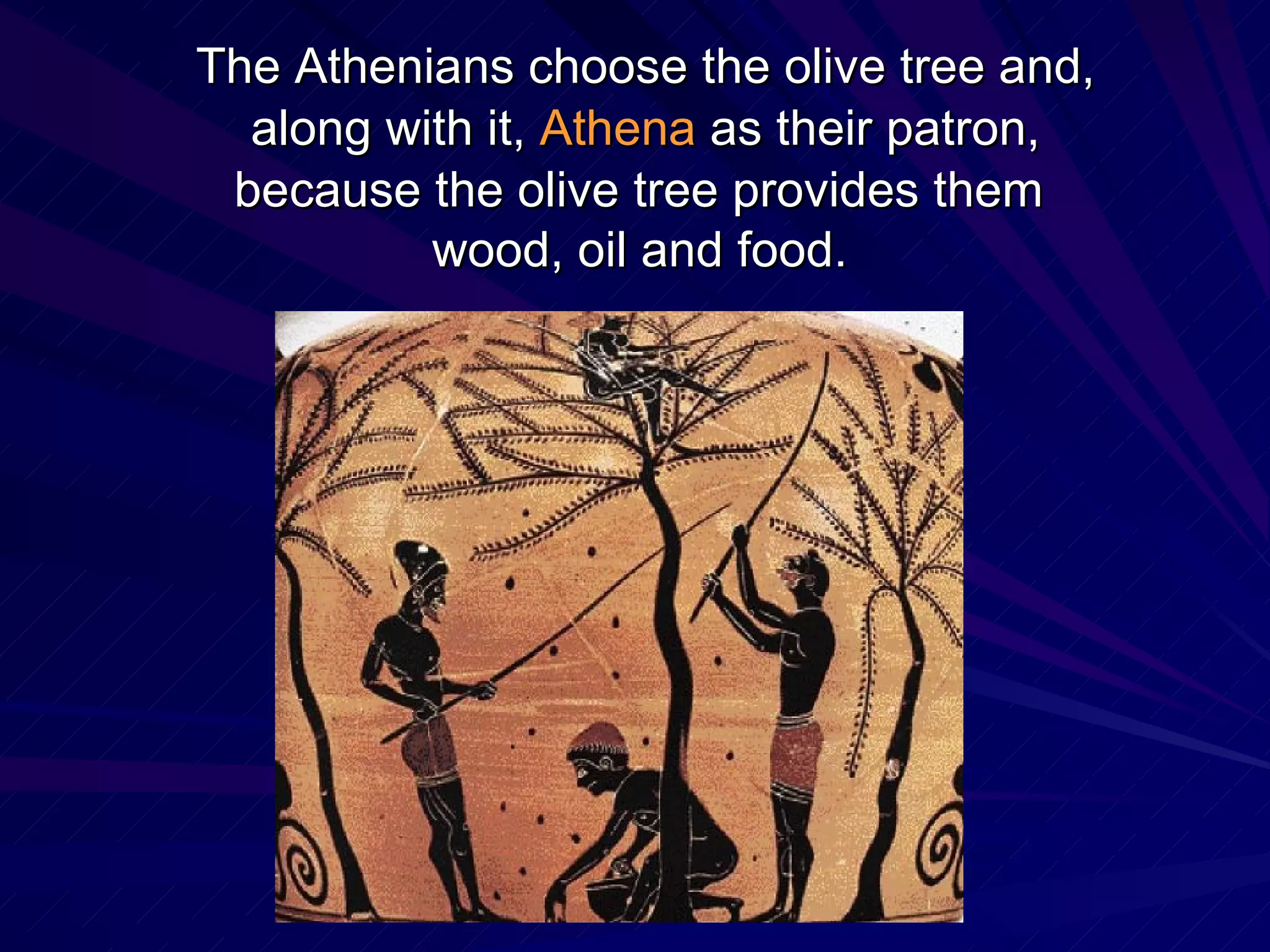 The Athenians choose the olive tree and, along with it, Athena as their patron, because the olive tree provides them wood, oil and food.