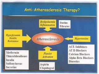 Atherosclerosis pathophysiology 