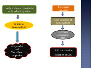 Brief exposure of endothelial
cells to homocysteine
S-nitroso
homocysteine
Antiplatelet
and
Vasodilator
properties
Auto-oxidation of
homocysteine
Decreased
formation of
ROS
Prolonged
exposure
Lipid peroxidation,
oxidation of LDL
 