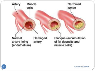6   6/1/2012 9:49 AM
 