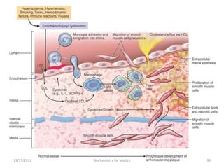 11/15/2012   Biochemistry for Medics   33
 