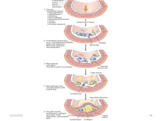 11/15/2012   Biochemistry for Medics   36
 