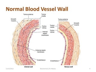 Normal Blood Vessel Wall




11/15/2012   Biochemistry for Medics   4
 