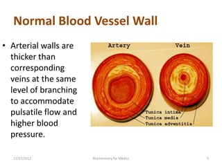Normal Blood Vessel Wall
• Arterial walls are
  thicker than
  corresponding
  veins at the same
  level of branching
  to accommodate
  pulsatile flow and
  higher blood
  pressure.

  11/15/2012           Biochemistry for Medics   5
 