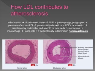 Inflammation  blood vessel dilates  WBC’s (macrophage, phagocytes) +
presence of excess LDL  proteins & lipids oxidize in LDL’s  secretion of
substance by endothelial and smooth muscle cells  monocytes 
macrophage  foam cells + T cells intensify inflammation =atherosclerosis
 