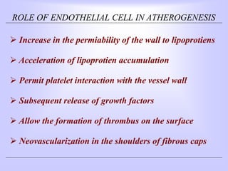 ROLE OF ENDOTHELIAL CELL IN ATHEROGENESIS
 Increase in the permiability of the wall to lipoprotiens
 Acceleration of lipoprotien accumulation
 Permit platelet interaction with the vessel wall
 Subsequent release of growth factors
 Allow the formation of thrombus on the surface
 Neovascularization in the shoulders of fibrous caps
 