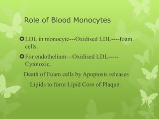 Role of Blood Monocytes
LDL in monocyte---Oxidised LDL----foam
cells.
For endothelium—Oxidised LDL-----
Cytotoxic.
Death of Foam cells by Apoptosis releases
Lipids to form Lipid Core of Plaque.
 