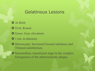 Gelatinous Lesions
 At Birth
 Oval ,Round
 Gross: Grey elevations
 1 cm. in diameter
 Microscopy: Increased Ground substance and
Thinned endothelium.
 Intermediate, transitional stage in the complex
histogenesis of the atherosclerotic plaque.
 