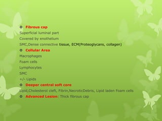  Fibrous cap
Superficial luminal part
Covered by enothelium
SMC,Dense connective tissue, ECM(Proteoglycans, collagen)
 Cellular Area
Macrophages
Foam cells
Lymphocytes
SMC
+/- Lipids
 Deeper central soft core
Lipid,Cholesterol cleft, Fibrin,NecroticDebris, Lipid laden Foam cells
 Advanced Lesion: Thick fibrous cap
 