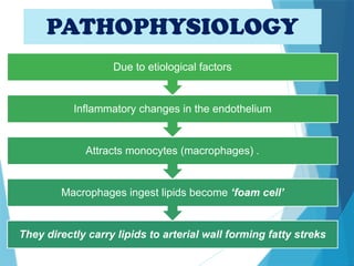 PATHOPHYSIOLOGY
They directly carry lipids to arterial wall forming fatty streks
Macrophages ingest lipids become ‘foam cell’
Attracts monocytes (macrophages) .
Inflammatory changes in the endothelium
Due to etiological factors
 