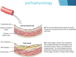pathophysiology
 