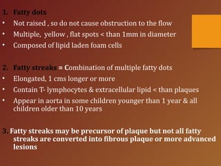 1. Fatty dots
• Not raised , so do not cause obstruction to the flow
• Multiple, yellow , flat spots < than 1mm in diameter
• Composed of lipid laden foam cells
2. Fatty streaks = Combination of multiple fatty dots
• Elongated, 1 cms longer or more
• Contain T- lymphocytes & extracellular lipid < than plaques
• Appear in aorta in some children younger than 1 year & all
children older than 10 years
3. Fatty streaks may be precursor of plaque but not all fatty
streaks are converted into fibrous plaque or more advanced
lesions
 