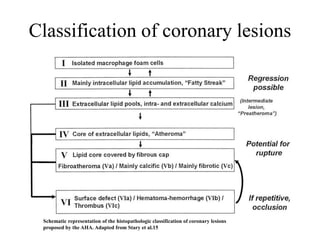 Atherosclerosis.ppt | Heart and Cardiovascular Diseases | Diseases and ...
