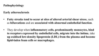 Pathophysiology
Early atherosclerosis
• Fatty streaks tend to occur at sites of altered arterial shear stress, such
as bifurcations and are associated with abnormal endothelial function.
• They develop when inflammatory cells, predominantly monocytes, bind
to receptors expressed by endothelial cells, migrate into the intima, take
up oxidised low-density lipoprotein (LDL) from the plasma and become
lipid-laden foam cells or macrophages.
 
