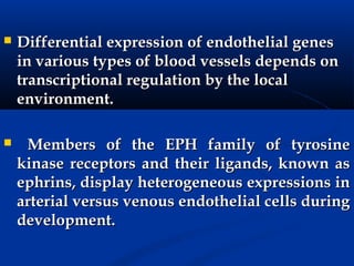    Differential expression of endothelial genes
    in various types of blood vessels depends on
    transcriptional regulation by the local
    environment.

    Members of the EPH family of tyrosine
    kinase receptors and their ligands, known as
    ephrins, display heterogeneous expressions in
    arterial versus venous endothelial cells during
    development.
 