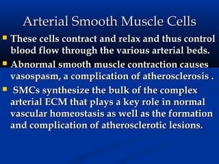 Arterial Smooth Muscle Cells
   These cells contract and relax and thus control
    blood flow through the various arterial beds.
   Abnormal smooth muscle contraction causes
    vasospasm, a complication of atherosclerosis .
   SMCs synthesize the bulk of the complex
    arterial ECM that plays a key role in normal
    vascular homeostasis as well as the formation
    and complication of atherosclerotic lesions.
 