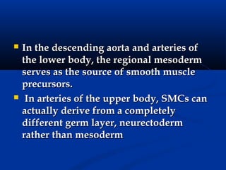    In the descending aorta and arteries of
    the lower body, the regional mesoderm
    serves as the source of smooth muscle
    precursors.
    In arteries of the upper body, SMCs can
    actually derive from a completely
    different germ layer, neurectoderm
    rather than mesoderm
 