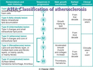 AHA Classification of atherosclerosis



          Fig. 11.7
 