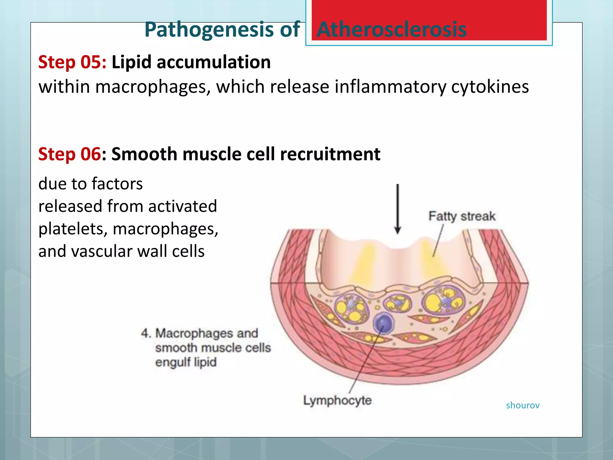 Lipid metabolism & Atherosclerosis -A Brief Review | PPTX