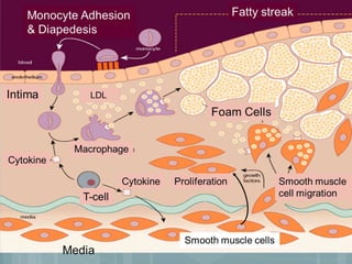 Lipid metabolism & Atherosclerosis -A Brief Review | PPTX