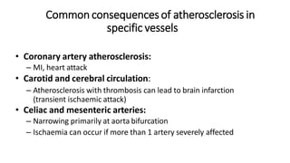 Common consequences of atherosclerosis in
specific vessels
• Coronary artery atherosclerosis:
– MI, heart attack
• Carotid and cerebral circulation:
– Atherosclerosis with thrombosis can lead to brain infarction
(transient ischaemic attack)
• Celiac and mesenteric arteries:
– Narrowing primarily at aorta bifurcation
– Ischaemia can occur if more than 1 artery severely affected
 