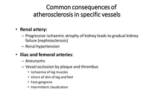 Common consequences of
atherosclerosis in specific vessels
• Renal artery:
– Progressive ischaemic atrophy of kidney leads to gradual kidney
failure (nephrosclerosis)
– Renal hypertension
• Iliac and femoral arteries:
– Aneurysms
– Vessel occlusion by plaque and thrombus
• Ischaemia of leg muscles
• Ulcers of skin of leg and feet
• Foot gangrene
• Intermittent claudication
 