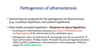 Pathogenesis of atherosclerosis
• Several theories proposed for the pathogenesis of atherosclerosis
(e.g. insudation hypothesis, encrustation hypothesis)
• Most widely accepted hypothesis - Response-to-Injury Hypothesis
• According to it atherosclerosis develops as a chronic inflammatory and
healing response of the arterial wall to the endothelial injury.
• Pathogenetic steps: EC dysfunction→ macrophage and LDL accumulation →
foam cell formation → fatty streaks →smooth muscle cell migration (involves
PDGF and FGF), proliferation, and extracellular matrix deposition →fibrous
plaque →complex atheroma
 