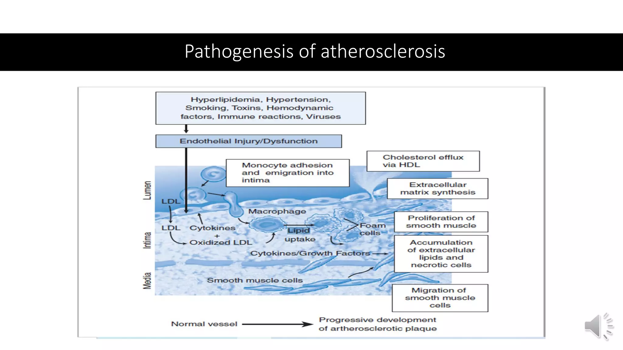 pathology of Atherosclerosis, dissection and aneurysm copy | PPT