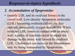 Response-to-injury hypothesis
2. Accumulation of lipoproteins
• (mainly LDL and its oxidized forms) in the
vessel wall. Low-density lipoprotein molecules
(LDL) becoming oxidized (ldl-ox) by free
radicals, particularly oxygen free (ROS). When
oxidized LDL comes in contact with an artery
wall, a series of reactions occur to repair the
damage to the artery wall caused by oxidized
LDL. Cholesterol can move in the bloodstream
only by being transported by lipoproteins

 