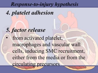 Response-to-injury hypothesis

4. platelet adhesion
5. factor release
• from activated platelet,
macrophages and vascular wall
cells, inducing SMC recruitment,
either from the media or from the
circulating precursors

 