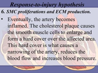Response-to-injury hypothesis
6. SMC proliferations and ECM production.
• Eventually, the artery becomes
inflamed. The cholesterol plaque causes
the smooth muscle cells to enlarge and
form a hard cover over the affected area.
This hard cover is what causes a
narrowing of the artery, reduces the
blood flow and increases blood pressure.

 