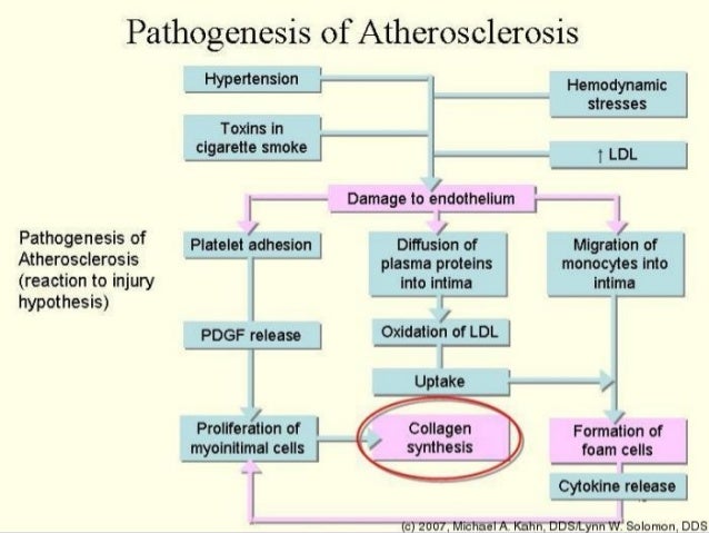 Pathophysiology Of Atherosclerosis Flow Chart