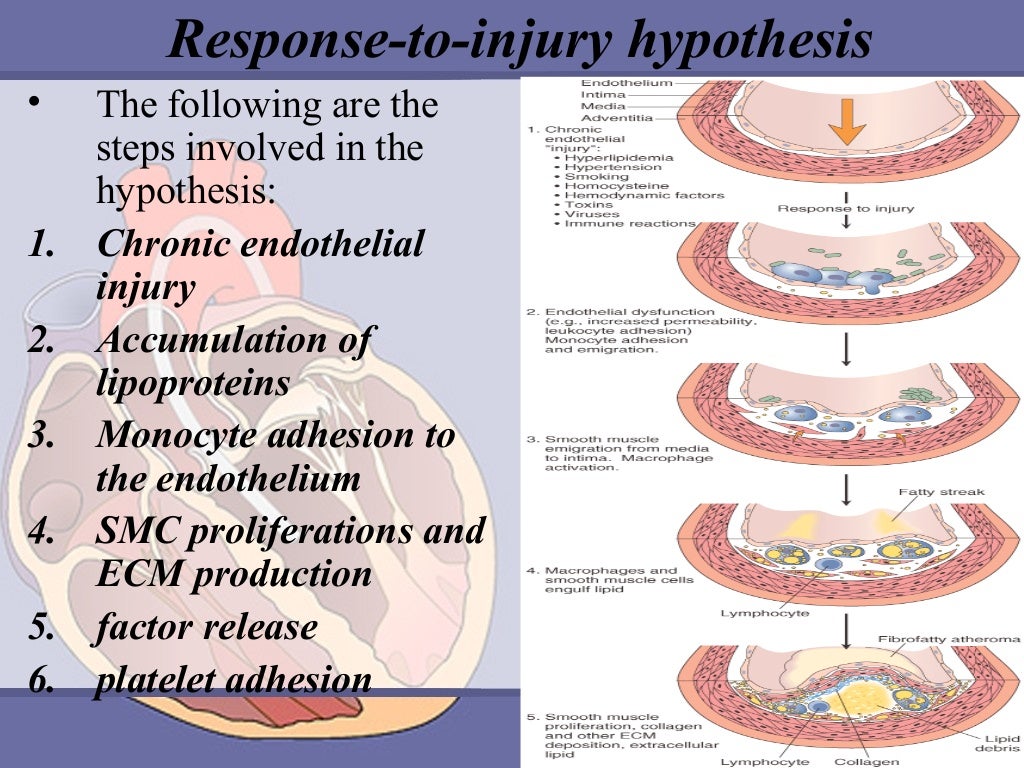 Atherosclerosis ppt