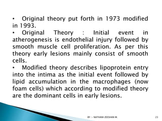 • Original theory put forth in 1973 modified
in 1993.
• Original Theory : Initial event in
atherogenesis is endothelial injury followed by
smooth muscle cell proliferation. As per this
theory early lesions mainly consist of smooth
cells.
• Modified theory describes lipoprotein entry
into the intima as the initial event followed by
lipid accumulation in the macrophages (now
foam cells) which according to modified theory
are the dominant cells in early lesions.
BY :- NATHANI ZEESHAN M. 23
 