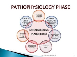 ATHEROSCLEROSIS
(PLAQUE FORM)
PLATELET
ADHESION
SMOOTH
MUSCLE CELL
RECRUITMEN
T AND ECM
PFODITION
LIPID
ACCUMULATION
BOTH EXTRA
CELLULARLY AND
WITHIN CELL
ENDOTHELIAL
INJURY
ACCUMULATION
OF LIPOPROTEIN
(MAINLY LDL)
MONOCYTE
ADHESION TO
THE
ENDOTHELIUM
MONONCYTE
S INTO
MACROPHAG
ES AND
FOAM CELL
BY :- NATHANI ZEESHAN M. 24
 