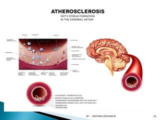 BY :- NATHANI ZEESHAN M. 26
 