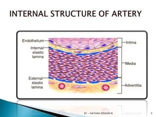 BY :- NATHANI ZEESHAN M. 9
 