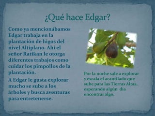 Como ya mencionábamos
Edgar trabaja en la
plantación de higos del
nivel Altiplano. Ahí el
señor Ratikan le otorga
diferentes trabajos como
cuidar los pimpollos de la
plantación.
A Edgar le gusta explorar
mucho se sube a los
árboles y busca aventuras
para entretenerse.

Por la noche sale a explorar
y escala el acantilado que
sube para las Tierras Altas,
esperando algún día
encontrar algo.

 
