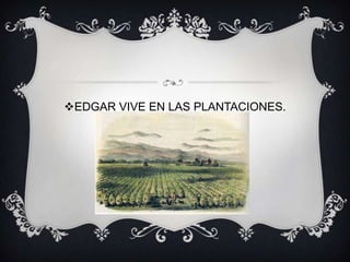 EDGAR VIVE EN LAS PLANTACIONES.

 
