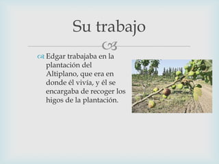 Su trabajo


 Edgar trabajaba en la
plantación del
Altiplano, que era en
donde él vivía, y él se
encargaba de recoger los
higos de la plantación.

 