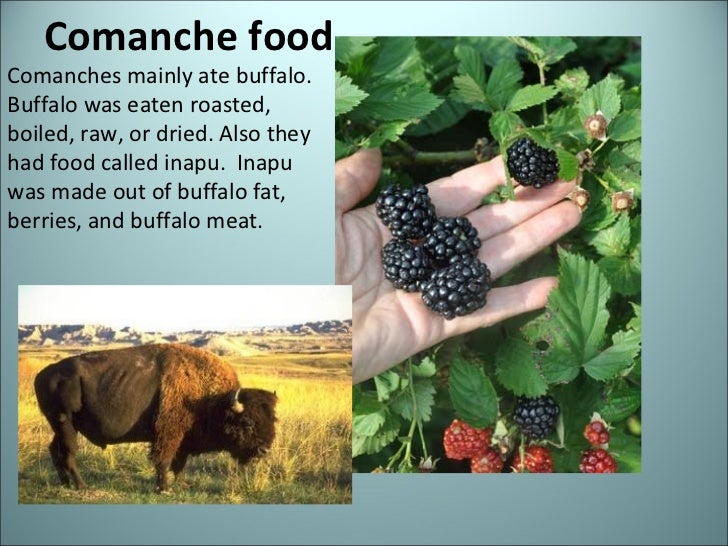 How Did Native Americans Eat Food How Did Native Americans Eat Food