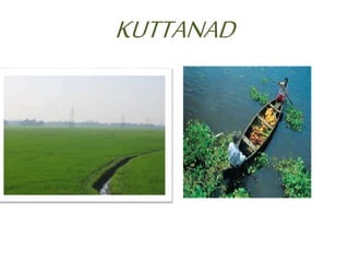 KUTTANAD 
 