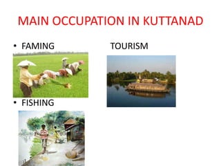 MAIN OCCUPATION IN KUTTANAD 
• FAMING TOURISM 
• FISHING 
 