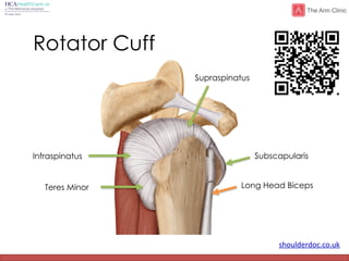 shoulderdoc.co.uk
Rotator Cuff
Infraspinatus
Teres Minor
Supraspinatus
Subscapularis
Long Head Biceps
 