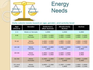 Energy
Needs
Calories
Consumed
Calories
Expended
 
