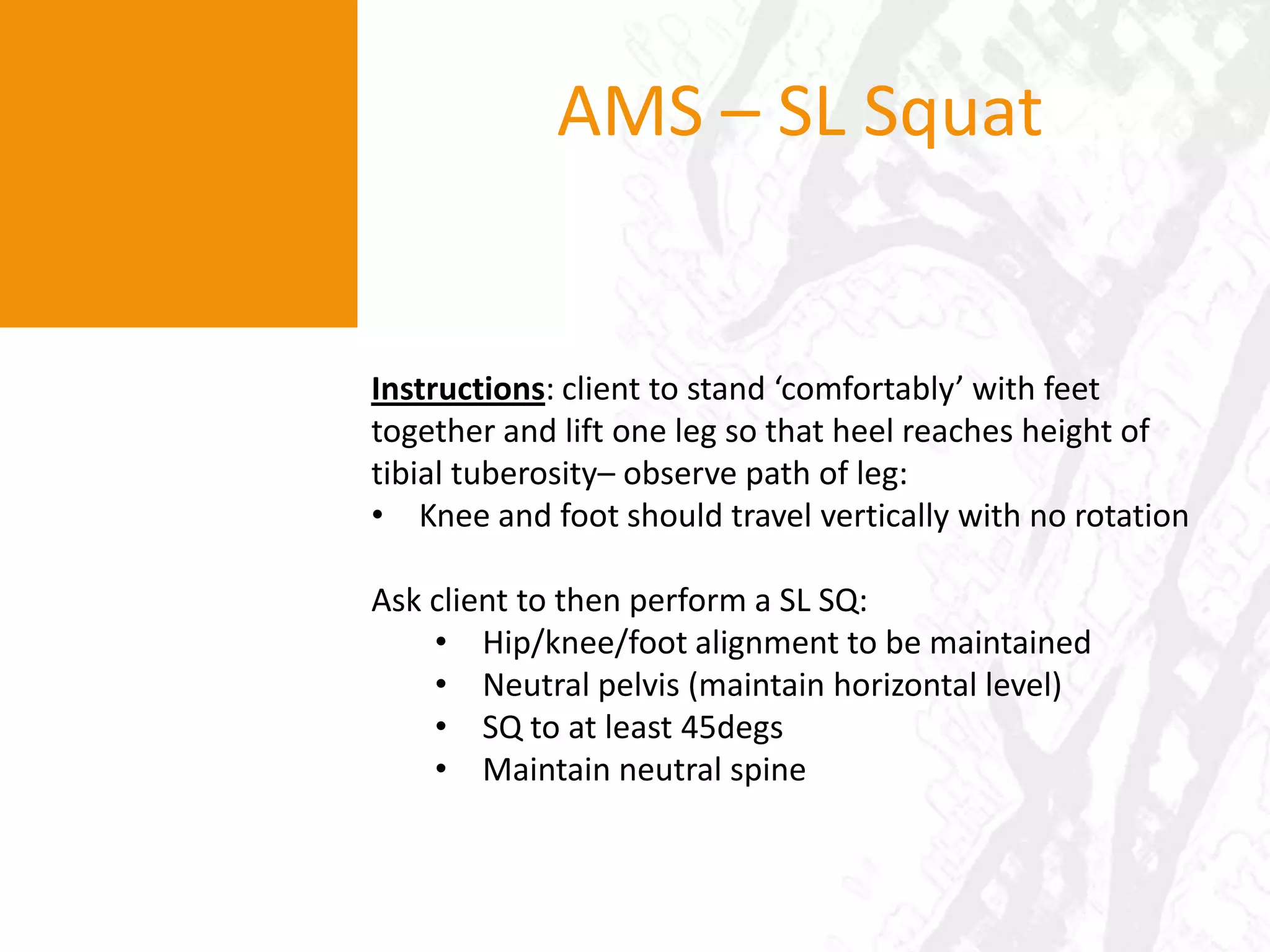 Femur below horizontal