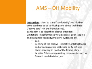 Assessing function and key movementsThe Australian Movement Screen (AMS)OH SquatSquatSL SQOH mobilityPush upRotary